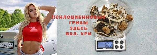 а пвп мука Рославль