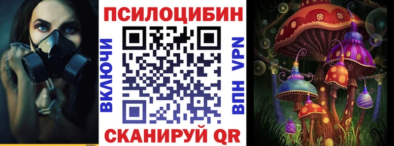 купить  цена  Лобня  Псилоцибиновые грибы мицелий 