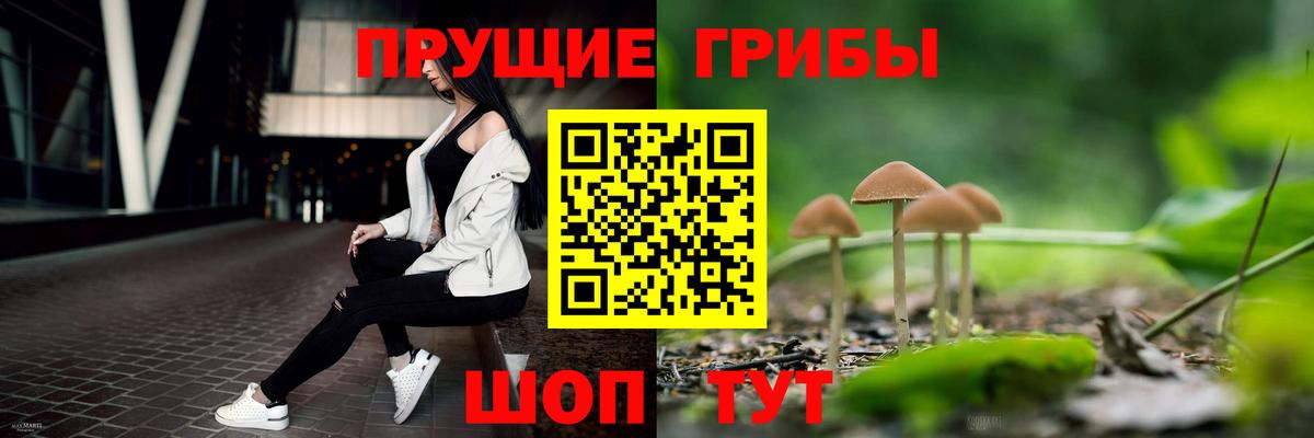 Псилоцибиновые грибы ЛСД Лобня